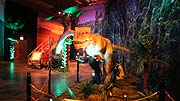 Ausstellung DINO WORLD – Das Reich der Giganten @ Kleine Olympiahalle München ab 01.04.2018 (©Foto; Martin Schmitz)